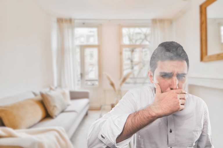 Votre maison n'est pas aussi saine qu'elle en a l'air