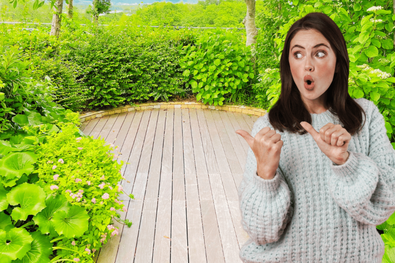Comment bien végétaliser sa terrasse ?