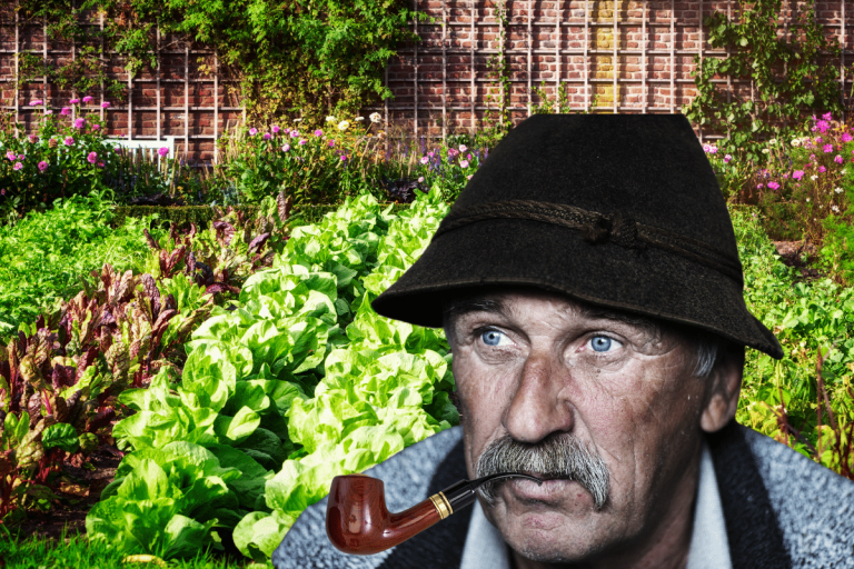 Comment faire un potager en permaculture ?