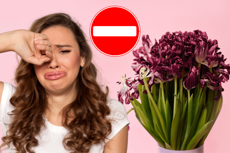 Pourquoi mes tulipes fannent tout le temps ?