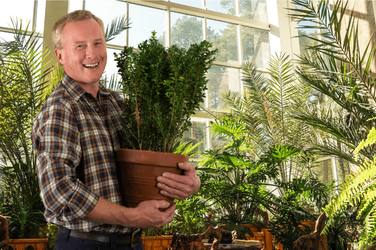 Quelles plantes associer dans son jardin ?